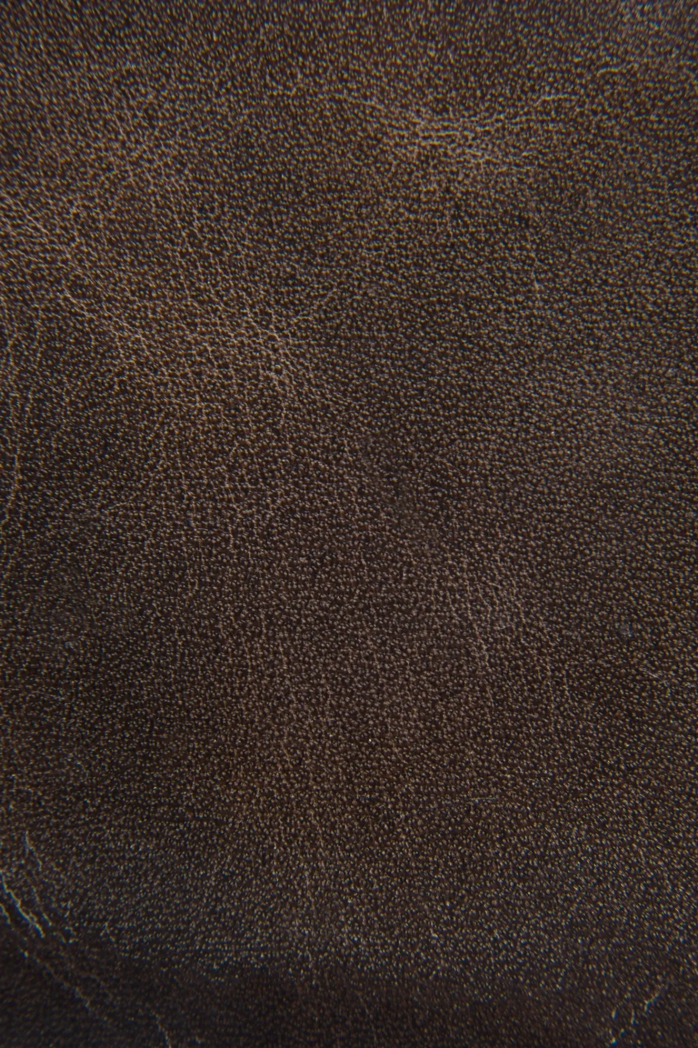 Best Frye Logan Billfold