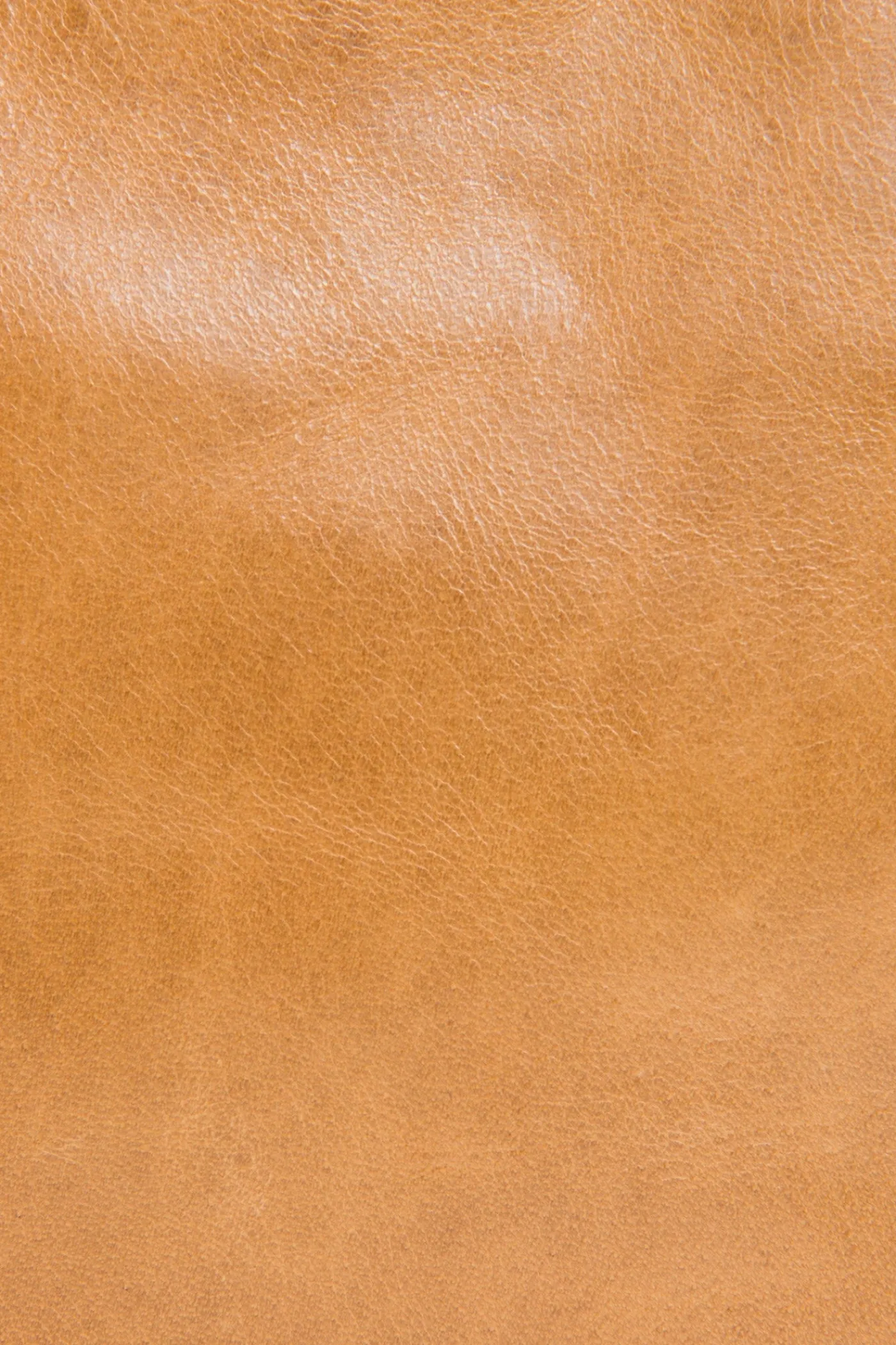 Frye Melissa Swing Pack